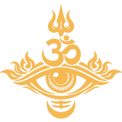 OmNetra Logo
