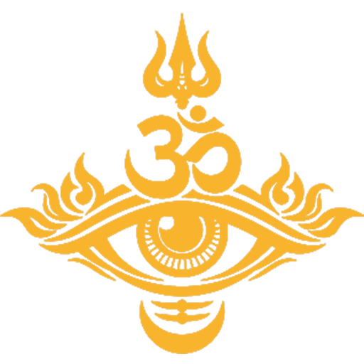OmNetra Logo